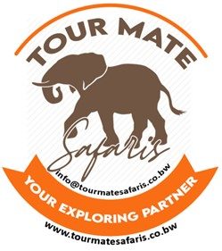 Tour Mate Safaris